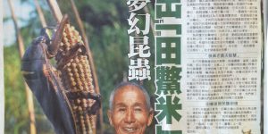 守護夢幻昆蟲種出「田鱉米」